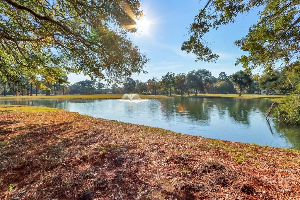 Image 38 of property listing at 114 Egrets Way Lane, Richmond Hill, GA 31324
