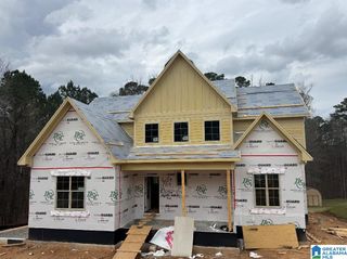 3282 RIVER BIRCH TRAIL, Chelsea, AL 35043