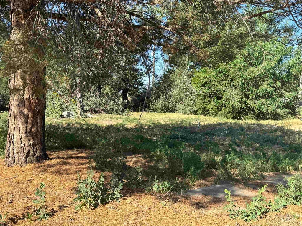 218 East D Street - Lots 1-3, Shoshone, ID 83352 photo 3