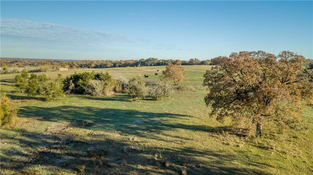 000 Dannheim Road County Road, Brenham, TX 77833 — exterior
