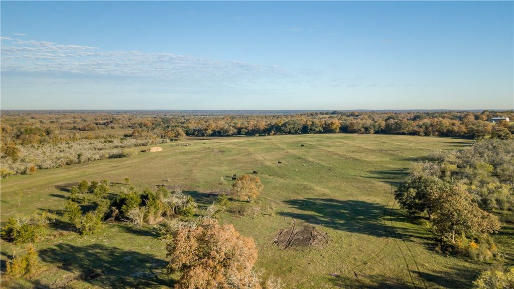 000 Dannheim Road County Road, Brenham, TX 77833 — photo 2