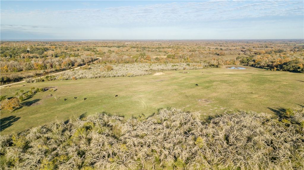 000 Dannheim Road County Road, Brenham, TX 77833 — photo 3
