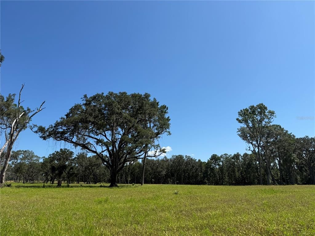DO #7 (10ac) NW 193RD ST, Micanopy, FL 32667
