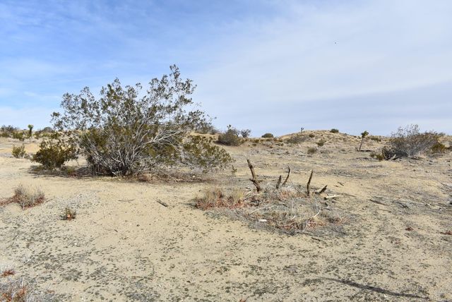 Barrel Springs And Emden Rd, Littlerock, CA 93543