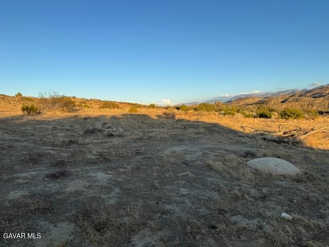 Barrel Springs And Emden Rd, Littlerock, CA 93543
