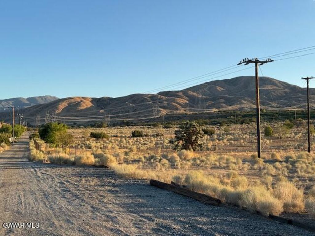Barrel Springs And Emden Rd, Littlerock, CA 93543