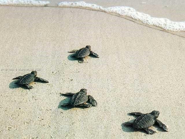 1815 Mooringline Dr 1, Vero Beach, FL 32963