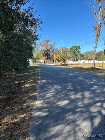 1599 S Trellis Drive, Homosassa, FL 34448