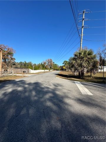 1599 S Trellis Drive, Homosassa, FL 34448