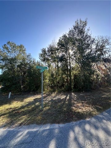 1599 S Trellis Drive, Homosassa, FL 34448