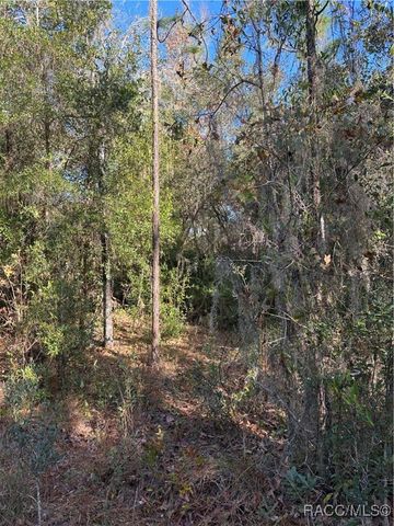 1599 S Trellis Drive, Homosassa, FL 34448