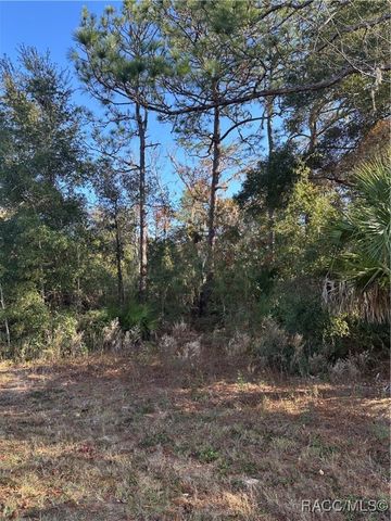 1599 S Trellis Drive, Homosassa, FL 34448