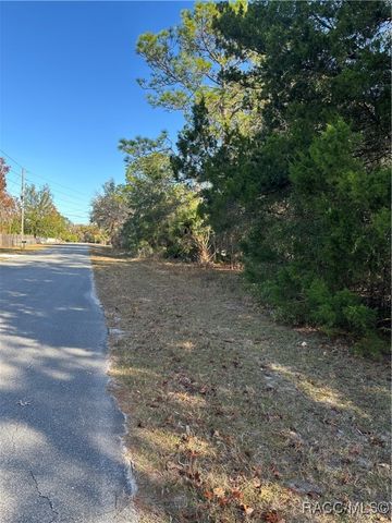 1599 S Trellis Drive, Homosassa, FL 34448