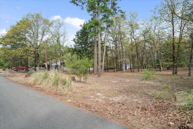381 Knollwood Lane, Holly Lake Ranch, TX 75765