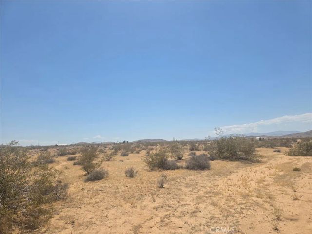 1 Venus, Joshua Tree, CA 92252