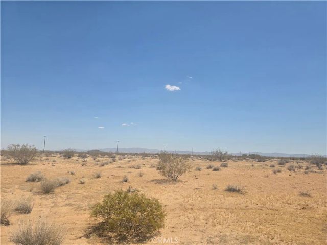 1 Venus, Joshua Tree, CA 92252