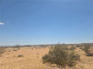 1 Venus, Joshua Tree, CA 92252