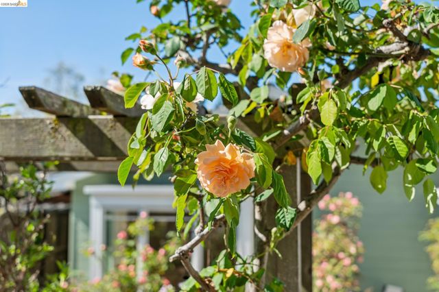 716 Ashbury Ave, El Cerrito, CA 94530