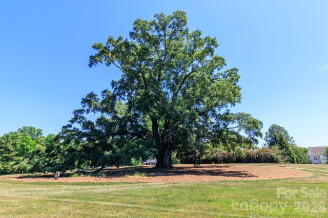 10011 King George Lane, Waxhaw, NC 28173