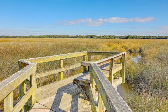 2418 Lilytree Drive, Charleston, SC 29414