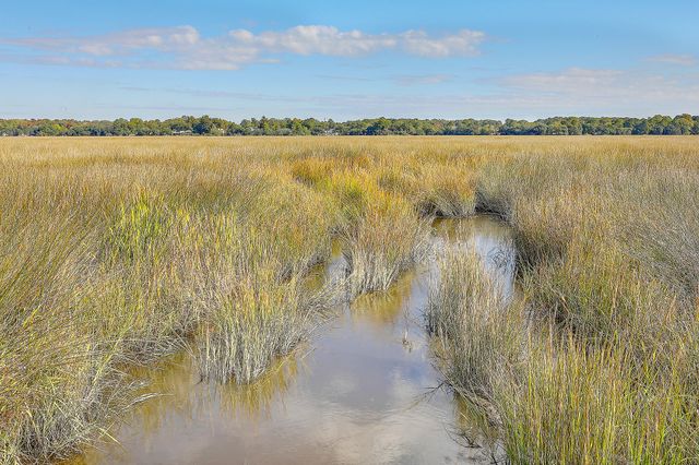 2418 Lilytree Drive, Charleston, SC 29414