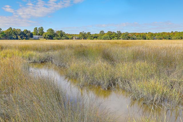 2418 Lilytree Drive, Charleston, SC 29414