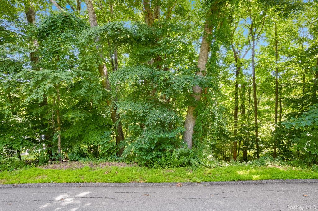 Lot 11 Shamrock Drive, Putnam Valley, NY 10579 — photo 2