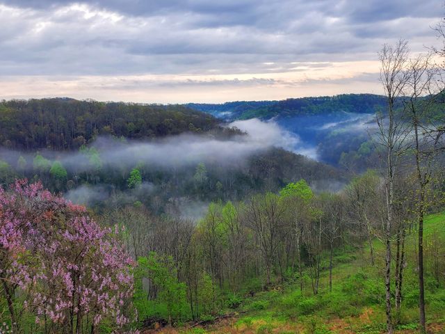 1055 Hunters Landing Ln, Smithville, TN 37166