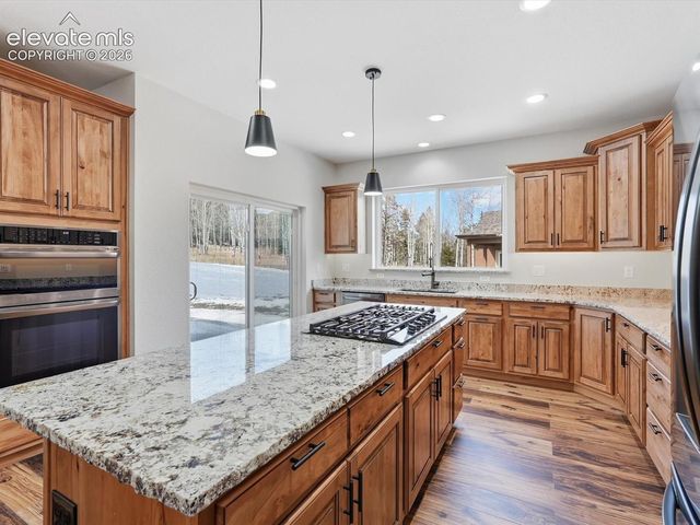 1309 Stone Ridge Drive, Woodland Park, CO 80863
