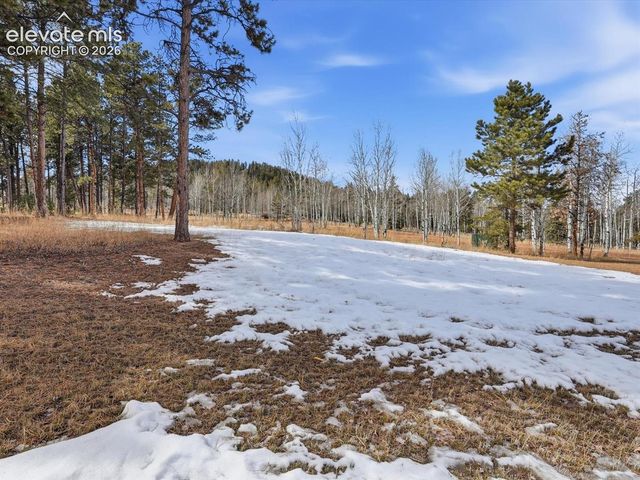 1309 Stone Ridge Drive, Woodland Park, CO 80863