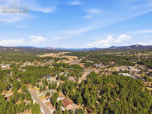 1309 Stone Ridge Drive, Woodland Park, CO 80863