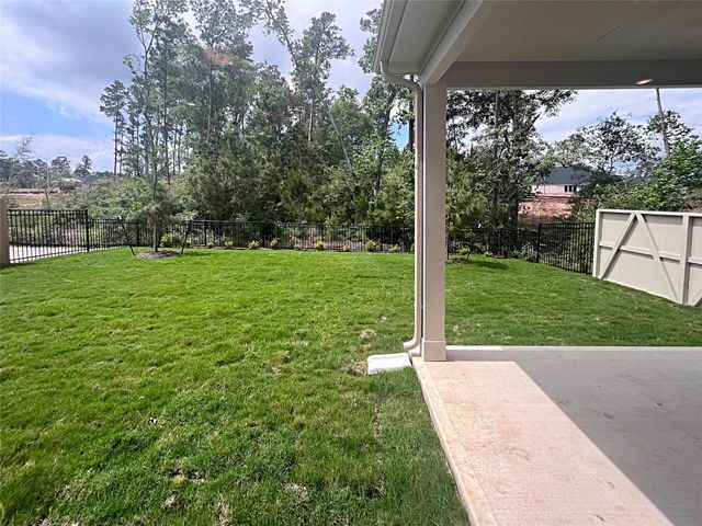 39521 Yellow Bill Court, Magnolia, TX 77354