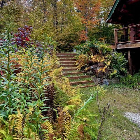 660 Patch Hill Road, Mount Holly, VT 05758