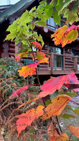 660 Patch Hill Road, Mount Holly, VT 05758