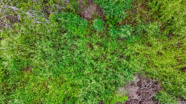 23030 Dream View Dr, Elmendorf, TX 78112