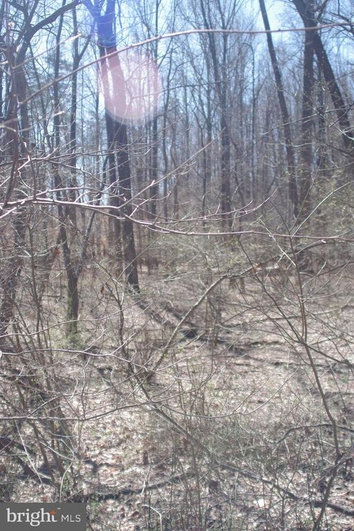 OLD HERALD HARBOR RD, Crownsville, MD 21032