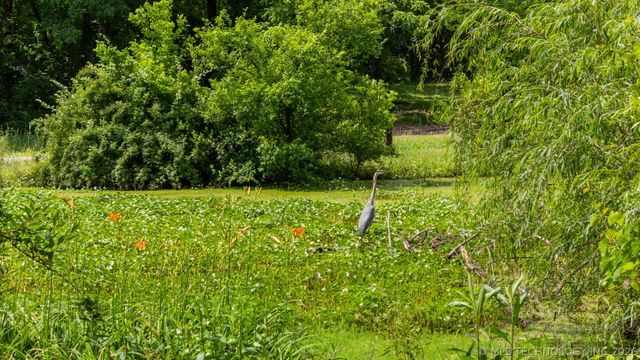 21745 E 660 Road, Tahlequah, OK 74464