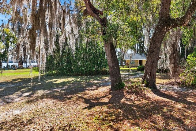 8950 E Devilsneck Road, Floral City, FL 34436