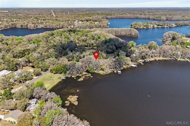 8950 E Devilsneck Road, Floral City, FL 34436