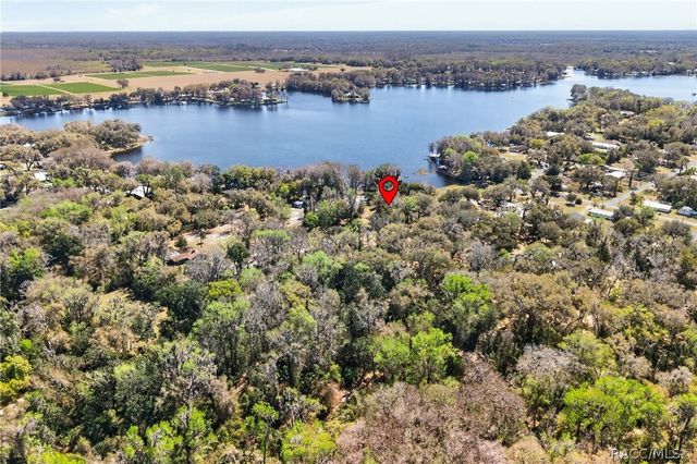 8950 E Devilsneck Road, Floral City, FL 34436