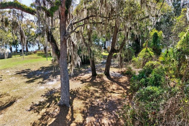 8950 E Devilsneck Road, Floral City, FL 34436
