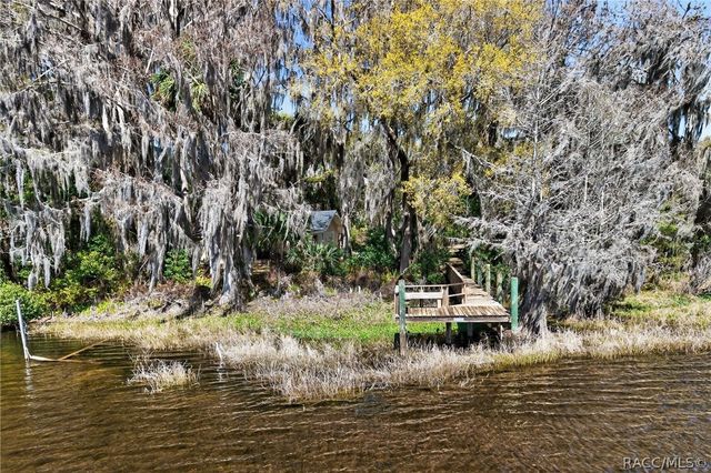 8950 E Devilsneck Road, Floral City, FL 34436