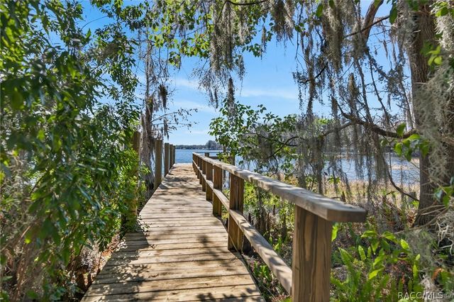 8950 E Devilsneck Road, Floral City, FL 34436