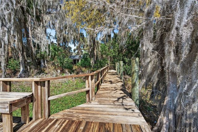 8950 E Devilsneck Road, Floral City, FL 34436