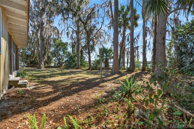 8950 E Devilsneck Road, Floral City, FL 34436