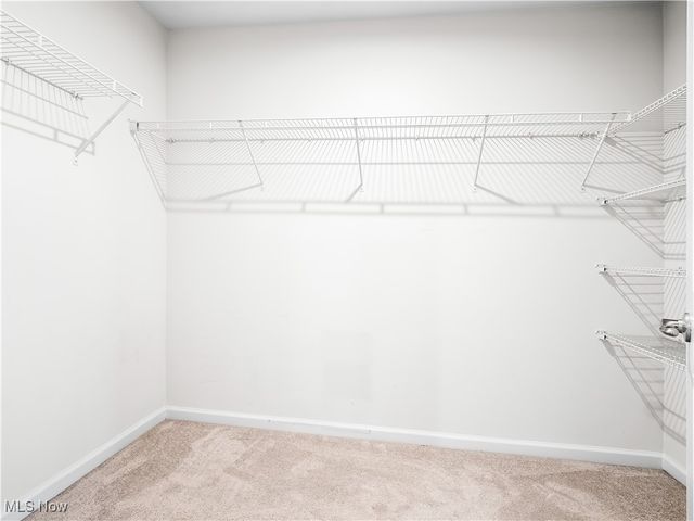 3243 Broadleaf Way, Brunswick, OH 44212