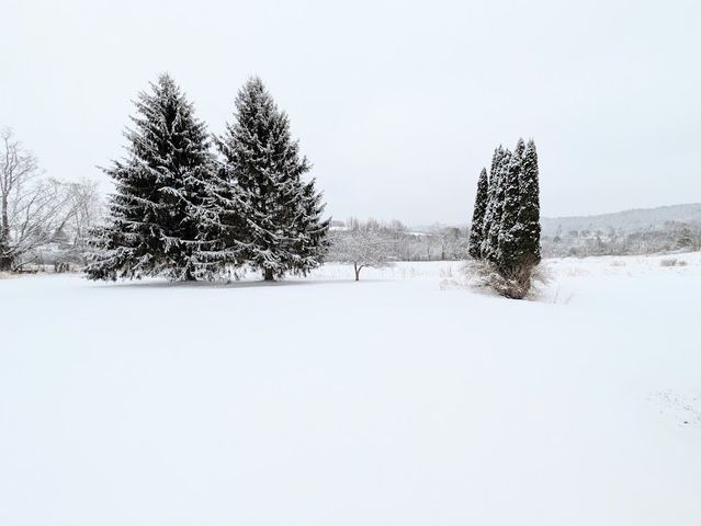 3757 Hamden Hill Road, Hamden, NY 13782