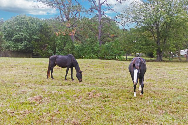 274 Campbell Road, Ridgeville, SC 29472