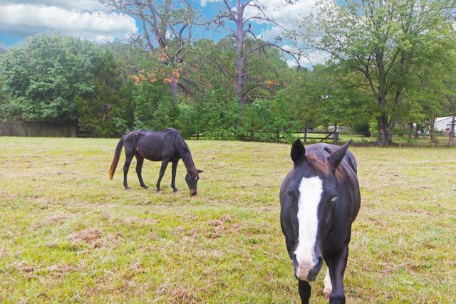 274 Campbell Road, Ridgeville, SC 29472