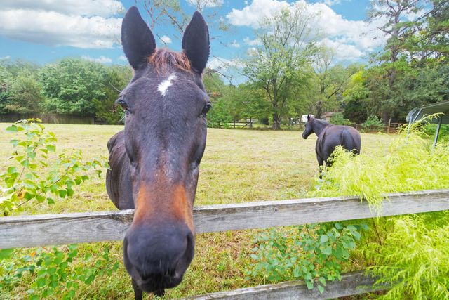 274 Campbell Road, Ridgeville, SC 29472